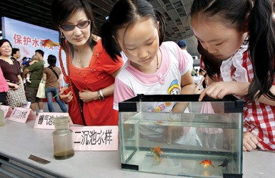 環(huán)保同行--世博環(huán)境日活動(dòng)