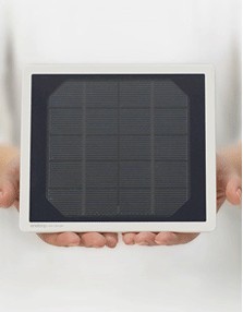 ����Ĥ����̫���늳�